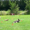 20090713_1698049759_sommerfest_2009_379