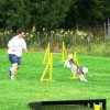 20090713_1910810351_sommerfest_2009_202