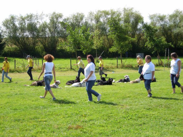 20120901_1367684425_dscn0391