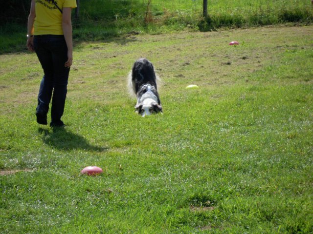 20120901_1731056271_dscn0398