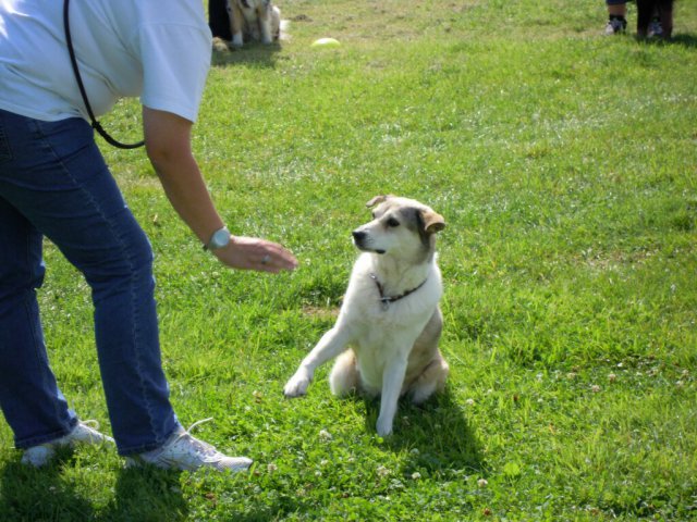 20120901_1919177612_dscn0397