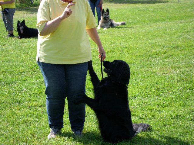 20120901_2013857762_dscn0402