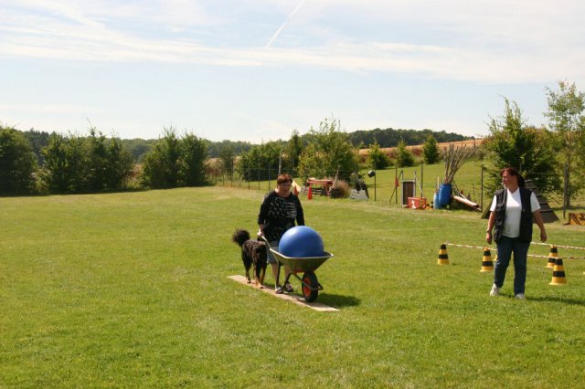 20120922_1952654136_img_7943