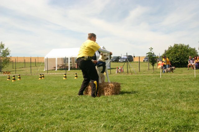 20120922_2006224072_img_7871