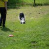 20120901_1731056271_dscn0398