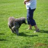 20120901_2036079605_dscn0405