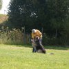 20120922_1134204263_img_7725