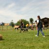 20120922_1295347668_img_7920