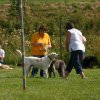 20120922_1936434587_img_7704