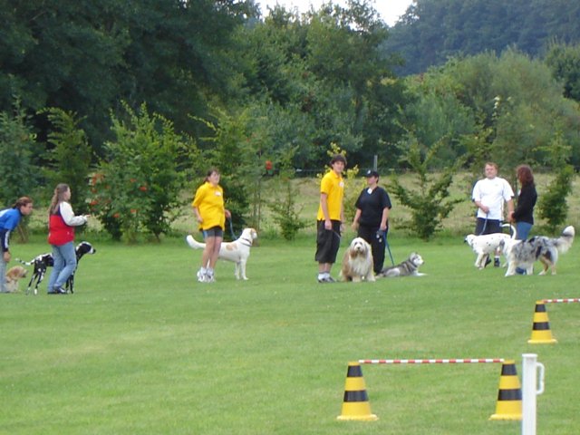 20080824_1004249959_3-sprung034
