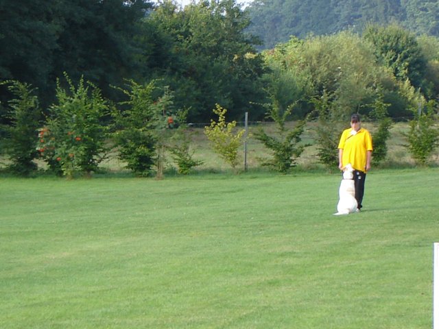 20080824_1515236862_vk018