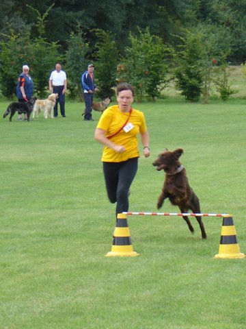 20080824_1556538692_3-sprung048