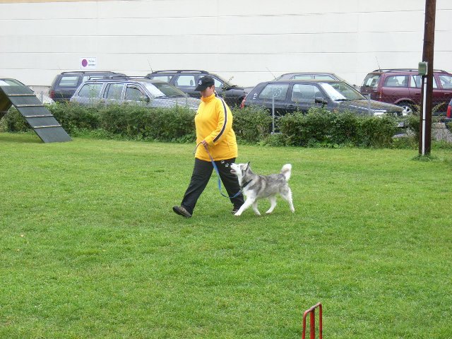 20081109_1549288067_rimg0005-klein