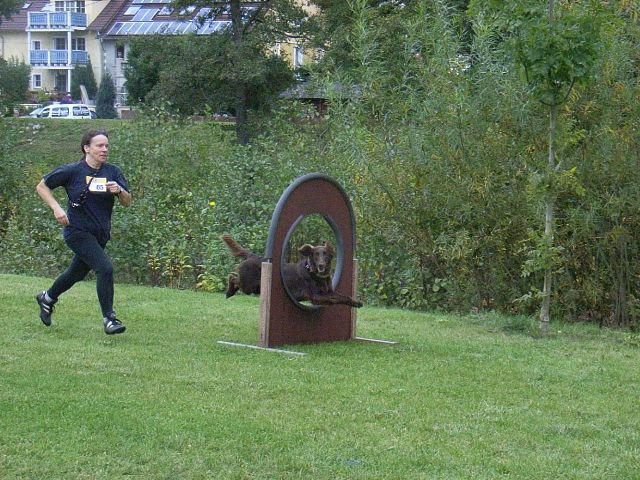 20081109_1757942129_rimg0340-klein