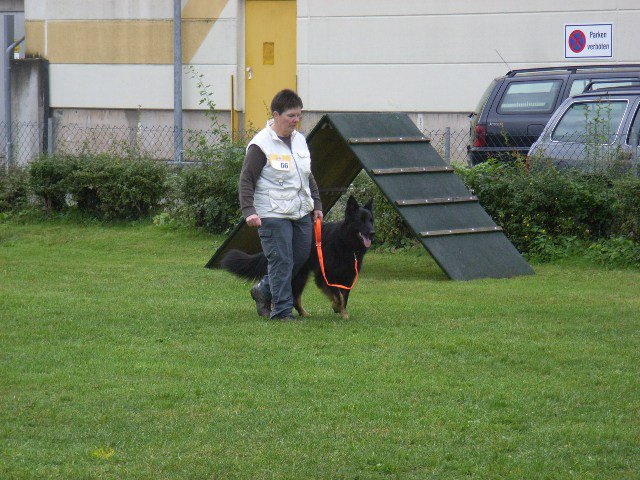 20081109_1782321682_rimg0029-klein