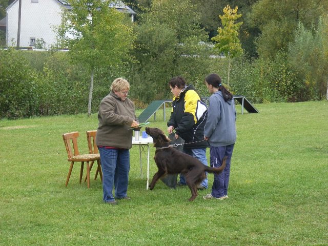 20081109_1851306411_rimg0136-klein