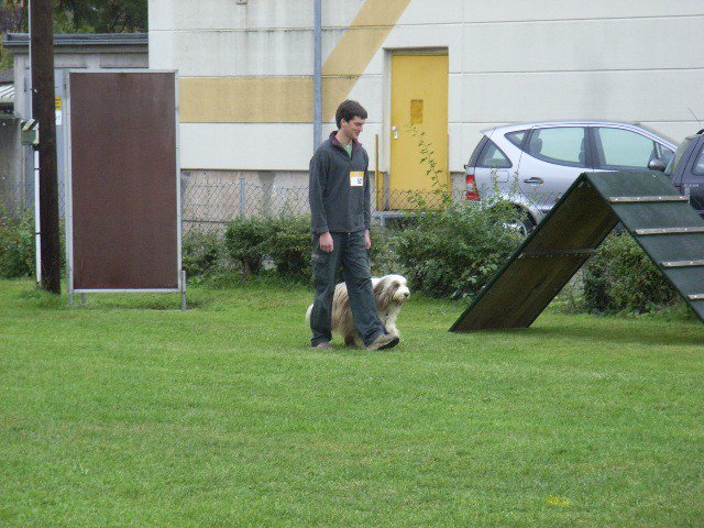 20081109_2052668922_rimg0146-klein