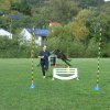 20081109_1276995605_rimg0462-klein