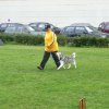 20081109_1549288067_rimg0005-klein