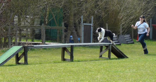 20090412_1481550298_nahla