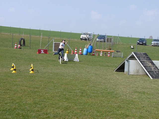 20090412_1638179098_shorty17