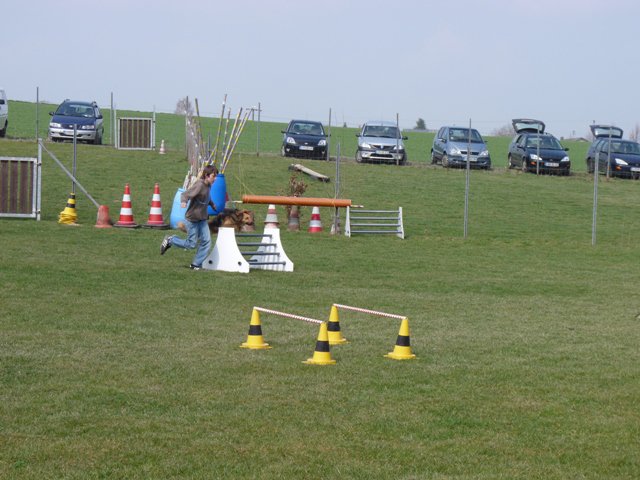 20090412_1776235095_shorty2