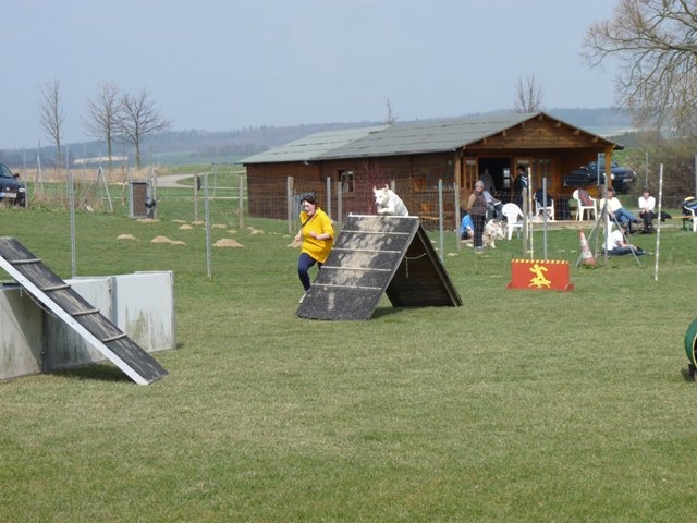 20090412_1778759845_shorty7