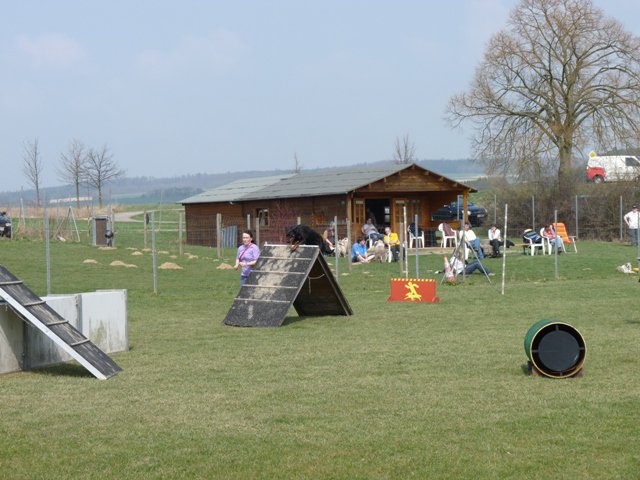 20090412_1914517551_shorty3