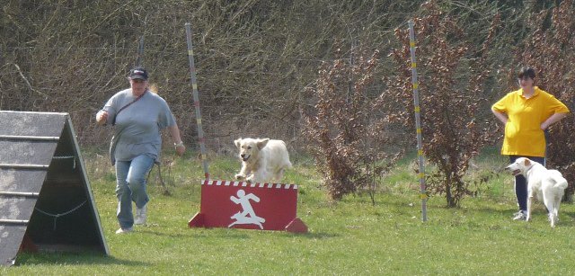 20090412_1949901869_aaron2