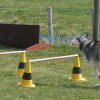 20090412_1054516709_sally2