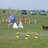 20090412_1467386192_shorty8
