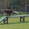 20090412_1808027515_lisa2
