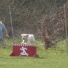 20090412_1949901869_aaron2