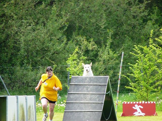 20090524_1512946871_km2009_379