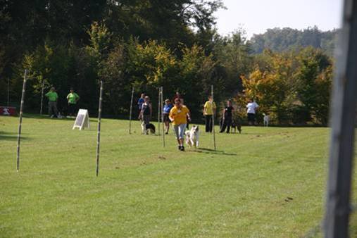 20111017_1801297546_bild7