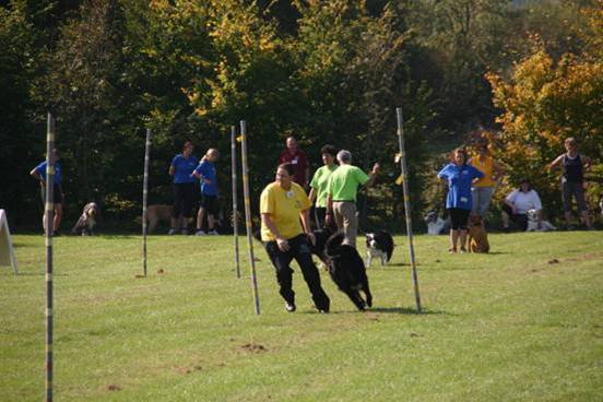20111017_1884799413_bild17