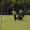 20111017_1219778066_bild27