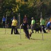 20111017_1966416333_bild16