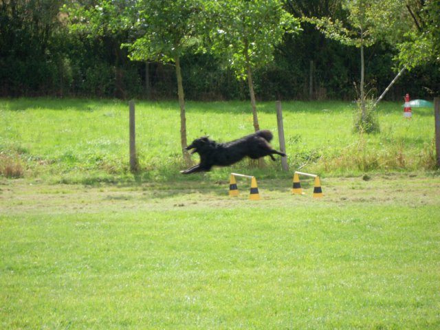 20120901_1285719892_dscn0277