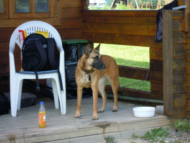 20120901_1401745512_dscn0380