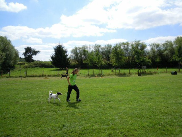 20120901_1414495419_dscn0273