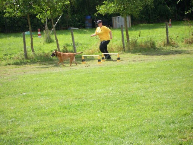 20120901_1973788886_dscn0287