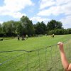20120901_1213824363_dscn0271