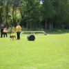 20120901_1239954593_dscn0297