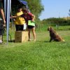 20120901_1725510312_dscn0336