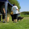 20120901_1818832708_dscn0344