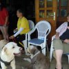 20120901_1860647687_dscn0305