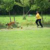 20120901_1866963981_dscn0276
