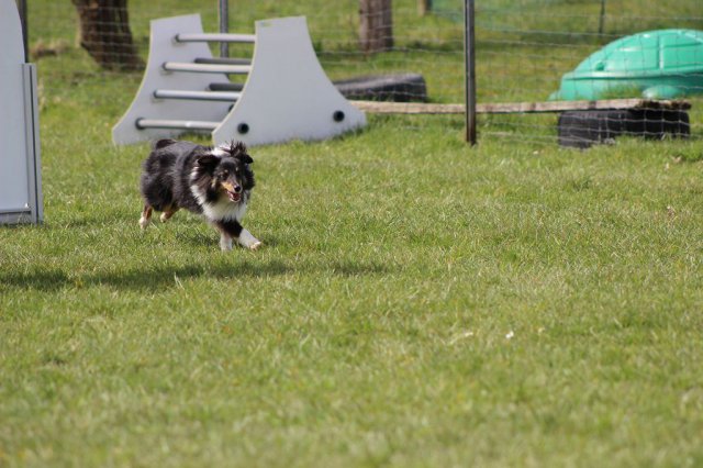 20150507_1714860589_k-img_3830