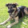20141005_1886954935_k-img_0381